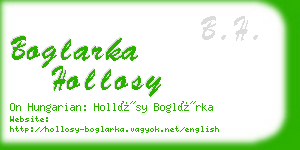 boglarka hollosy business card